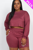 Plus Size Cozy Crop Top And Shorts Set